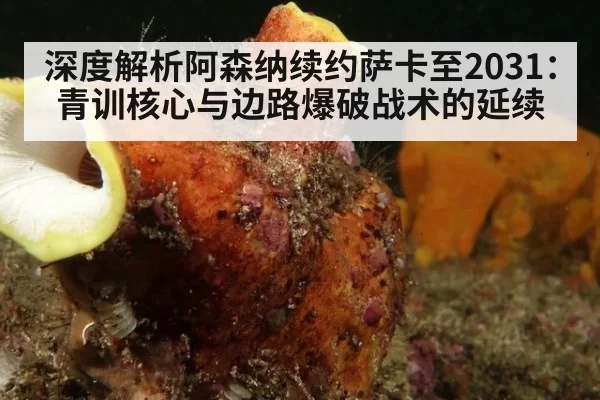 深度解析阿森纳续约萨卡至2031：青训核心与边路爆破战术的延续